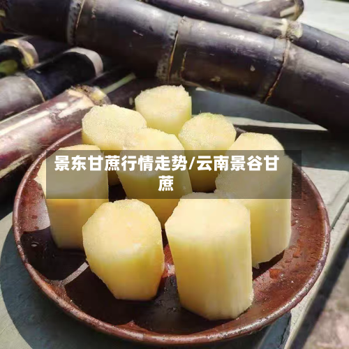 景东甘蔗行情走势/云南景谷甘蔗-第2张图片