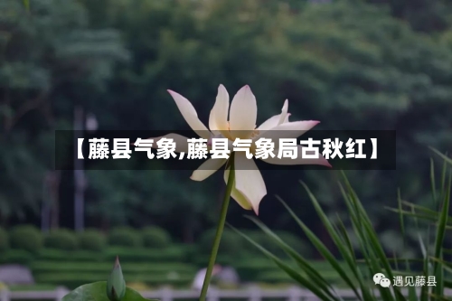 【藤县气象,藤县气象局古秋红】-第3张图片