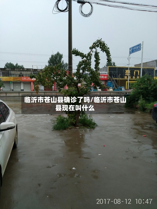 临沂市苍山县确诊了吗/临沂市苍山县现在叫什么