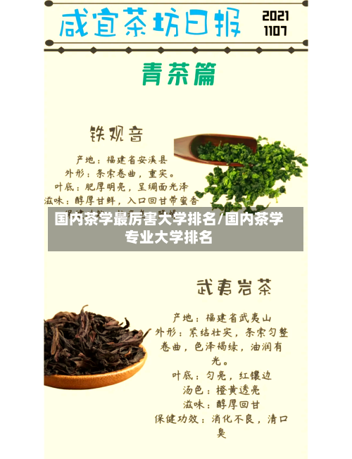 国内茶学最厉害大学排名/国内茶学专业大学排名-第2张图片