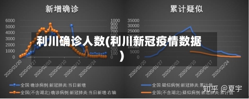 利川确诊人数(利川新冠疫情数据)-第2张图片