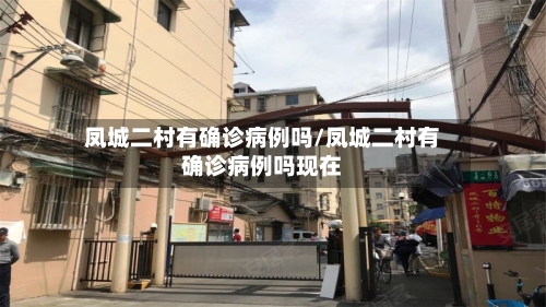 凤城二村有确诊病例吗/凤城二村有确诊病例吗现在
