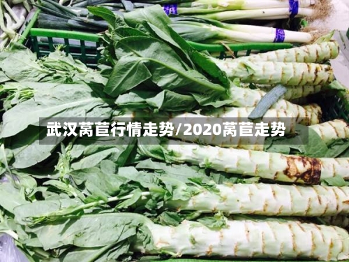 武汉莴苣行情走势/2020莴苣走势