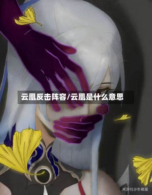 云凰反击阵容/云凰是什么意思