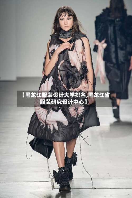 【黑龙江服装设计大学排名,黑龙江省服装研究设计中心】-第2张图片