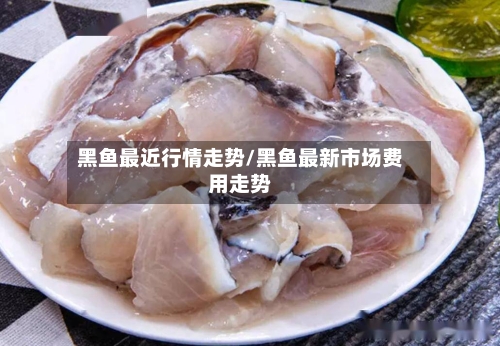 黑鱼最近行情走势/黑鱼最新市场费用走势