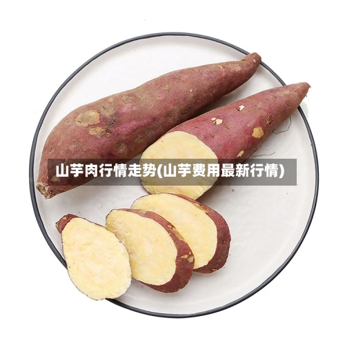 山芋肉行情走势(山芋费用最新行情)