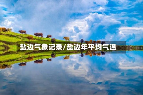 盐边气象记录/盐边年平均气温