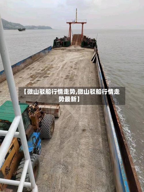 【微山驳船行情走势,微山驳船行情走势最新】-第3张图片