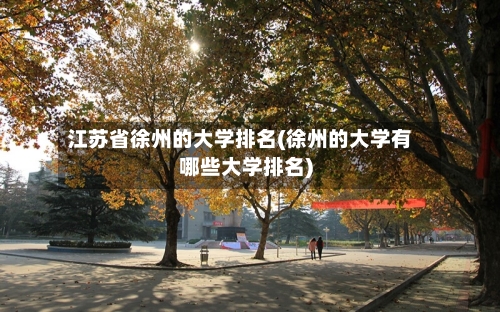 江苏省徐州的大学排名(徐州的大学有哪些大学排名)