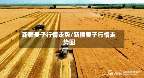 新疆麦子行情走势/新疆麦子行情走势图-第2张图片