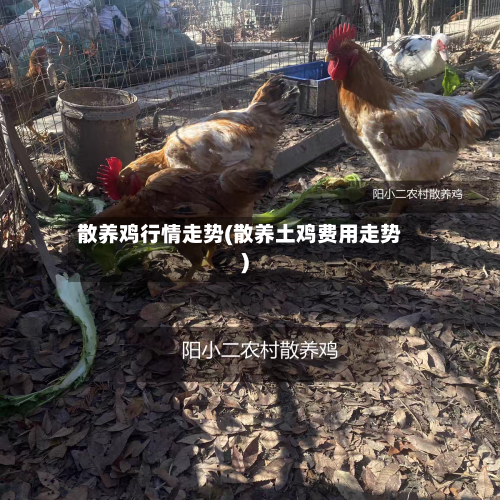 散养鸡行情走势(散养土鸡费用走势)