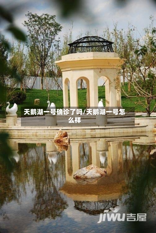 天鹅湖一号确诊了吗/天鹅湖一号怎么样