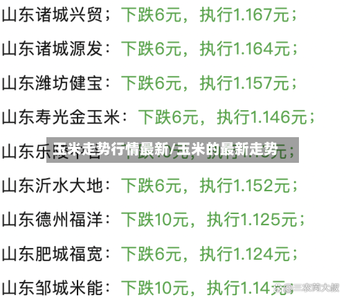 玉米走势行情最新/玉米的最新走势