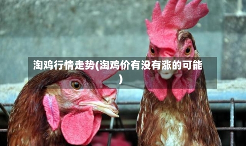 淘鸡行情走势(淘鸡价有没有涨的可能)-第2张图片