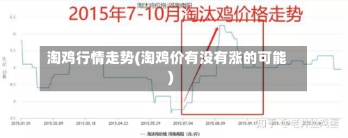 淘鸡行情走势(淘鸡价有没有涨的可能)