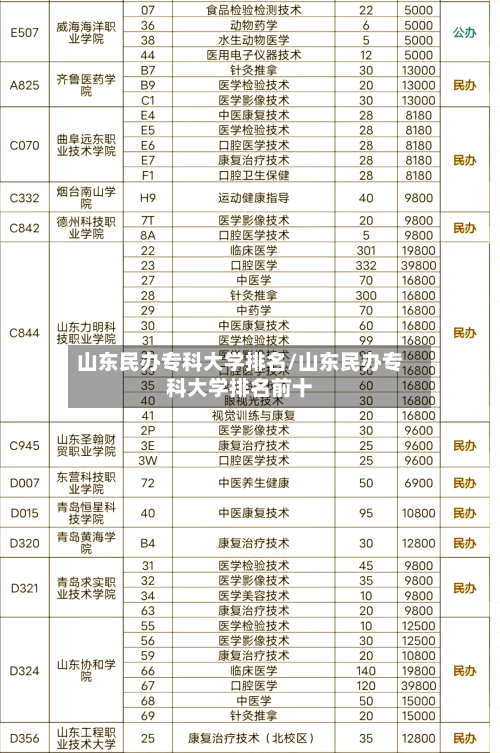 山东民办专科大学排名/山东民办专科大学排名前十