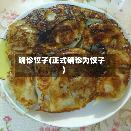 确诊饺子(正式确诊为饺子)-第2张图片