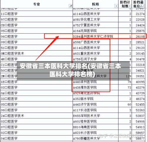 安徽省三本医科大学排名(安徽省三本医科大学排名榜)-第2张图片