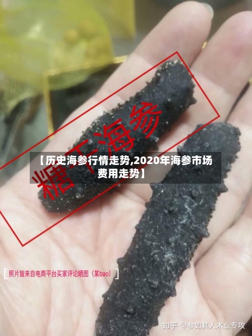 【历史海参行情走势,2020年海参市场费用走势】-第3张图片