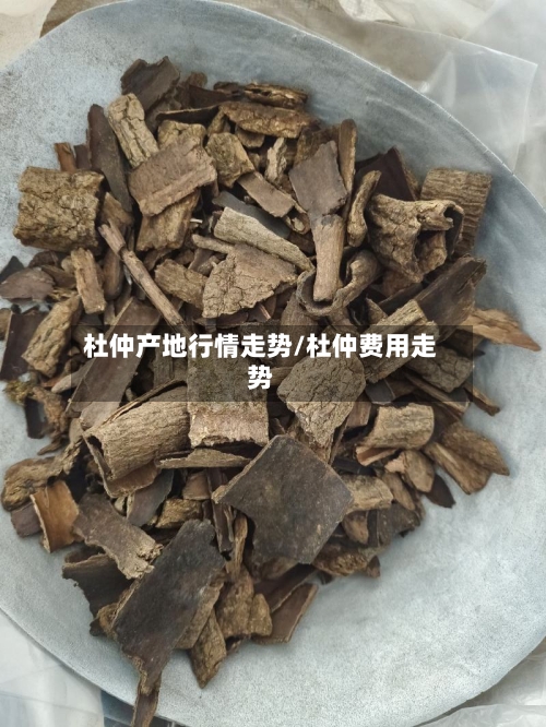 杜仲产地行情走势/杜仲费用走势
