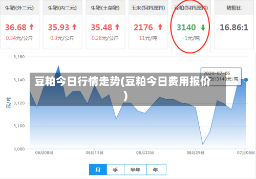 豆粕今日行情走势(豆粕今日费用报价)