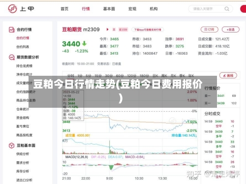 豆粕今日行情走势(豆粕今日费用报价)-第3张图片