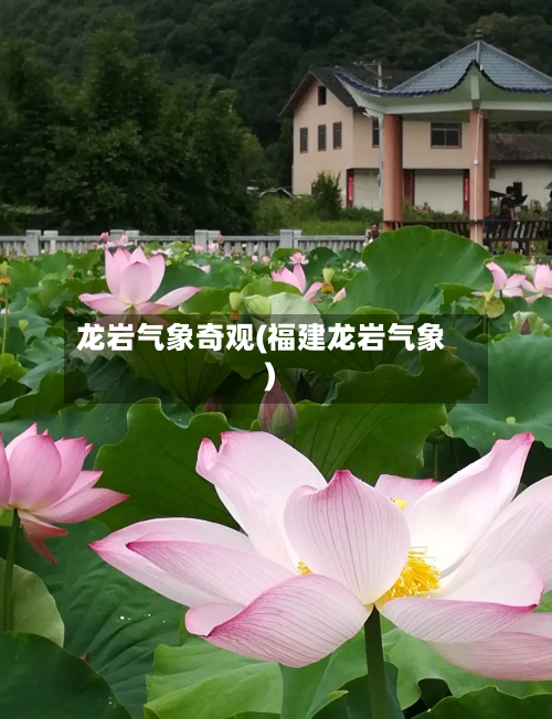 龙岩气象奇观(福建龙岩气象)-第3张图片