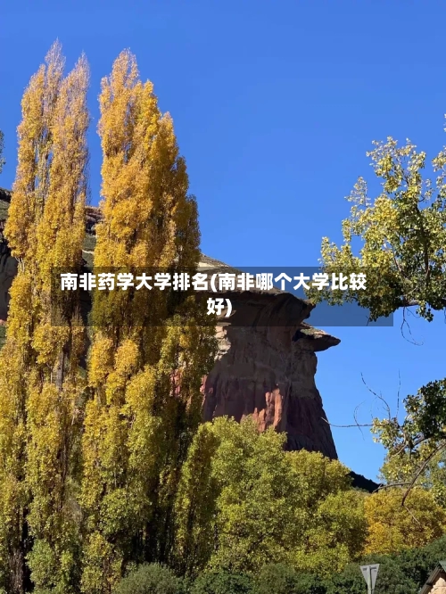 南非药学大学排名(南非哪个大学比较好)-第2张图片