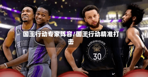 国王行动专家阵容/国王行动精准打击-第2张图片