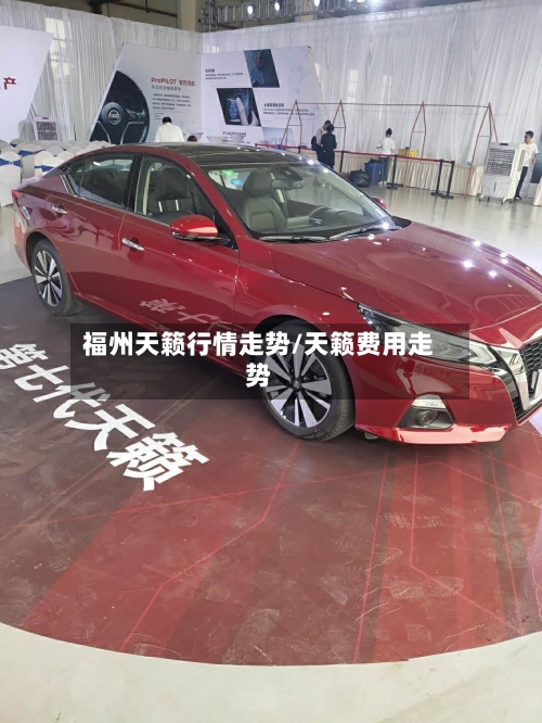 福州天籁行情走势/天籁费用走势