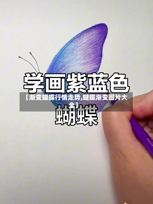 【渐变蝴蝶行情走势,蝴蝶渐变图片大全】-第2张图片