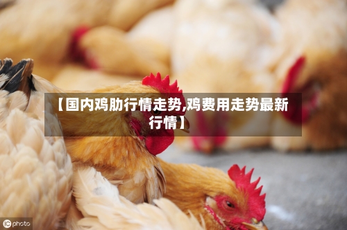 【国内鸡肋行情走势,鸡费用走势最新行情】-第2张图片