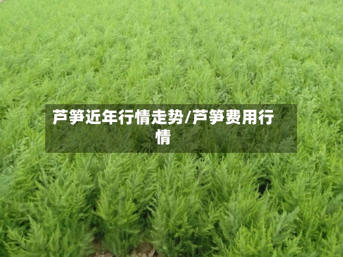 芦笋近年行情走势/芦笋费用行情-第2张图片