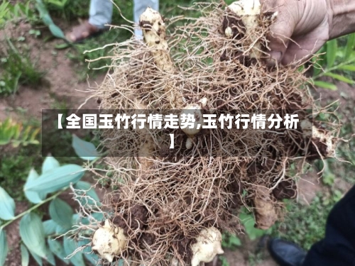 【全国玉竹行情走势,玉竹行情分析】