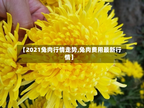 【2021兔肉行情走势,兔肉费用最新行情】