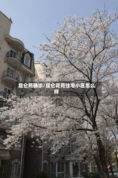 昆仑苑确诊/昆仑花苑住宅小区怎么样-第3张图片