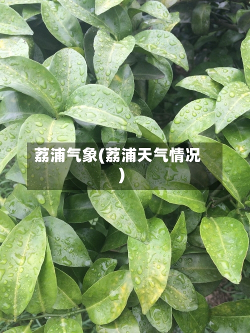荔浦气象(荔浦天气情况)
