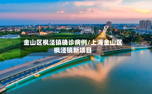 金山区枫泾镇确诊病例/上海金山区枫泾镇新项目-第2张图片