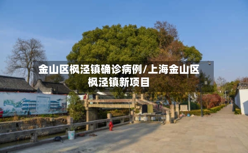 金山区枫泾镇确诊病例/上海金山区枫泾镇新项目