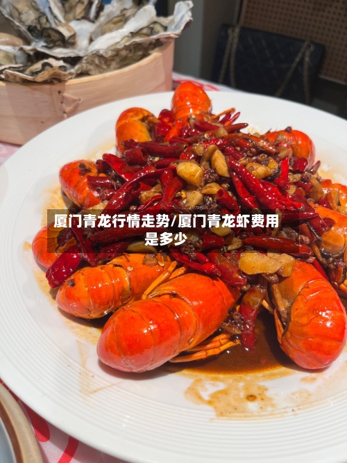 厦门青龙行情走势/厦门青龙虾费用是多少