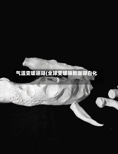 气温变暖珊瑚(全球变暖导致珊瑚白化)-第2张图片