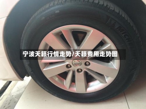 宁波天籁行情走势/天籁费用走势图
