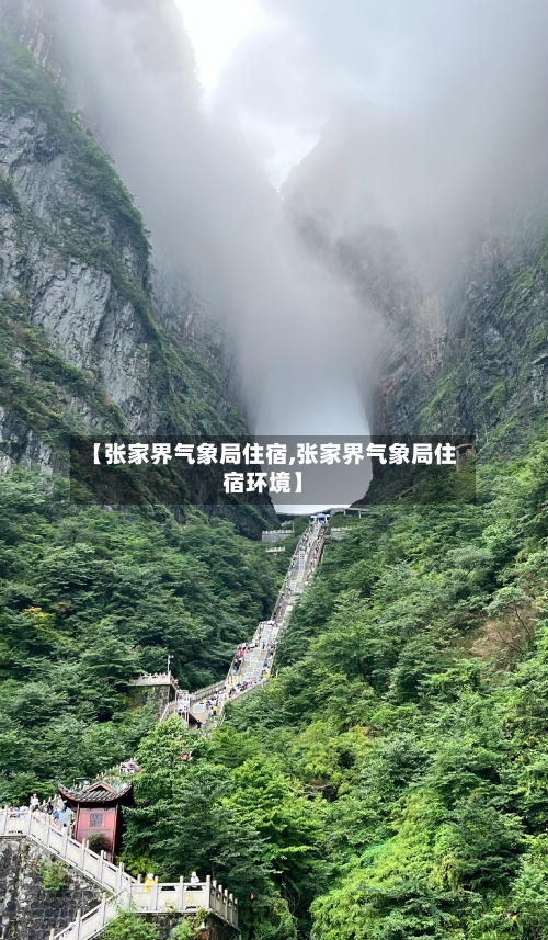 【张家界气象局住宿,张家界气象局住宿环境】-第3张图片