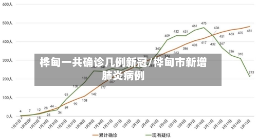 桦甸一共确诊几例新冠/桦甸市新增肺炎病例-第2张图片