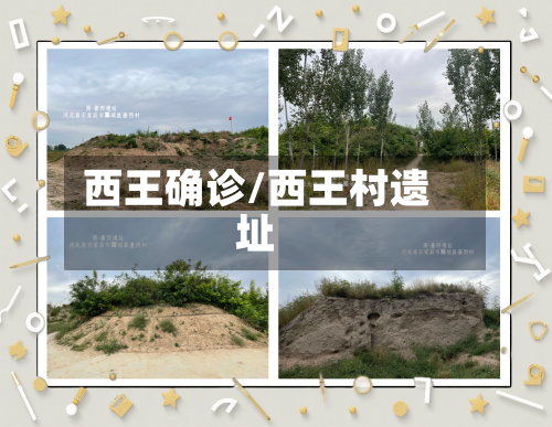 西王确诊/西王村遗址-第3张图片