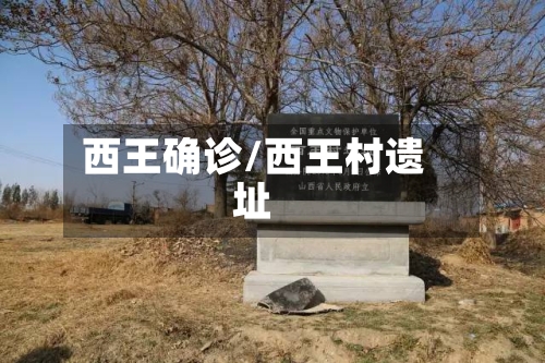 西王确诊/西王村遗址-第2张图片