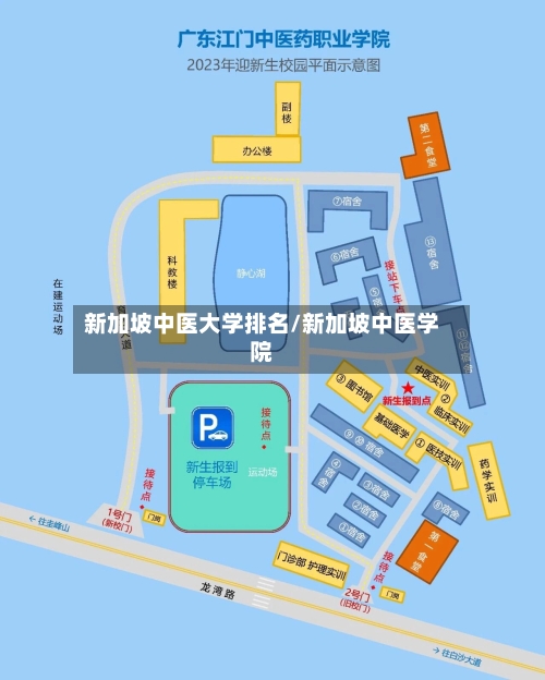 新加坡中医大学排名/新加坡中医学院-第2张图片