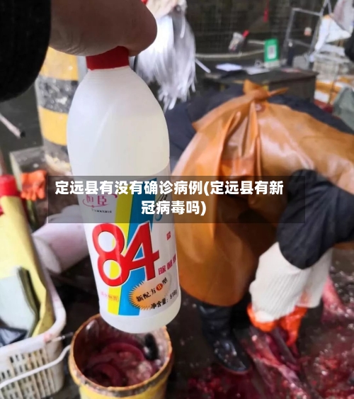 定远县有没有确诊病例(定远县有新冠病毒吗)-第3张图片