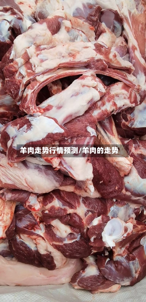羊肉走势行情预测/羊肉的走势-第2张图片
